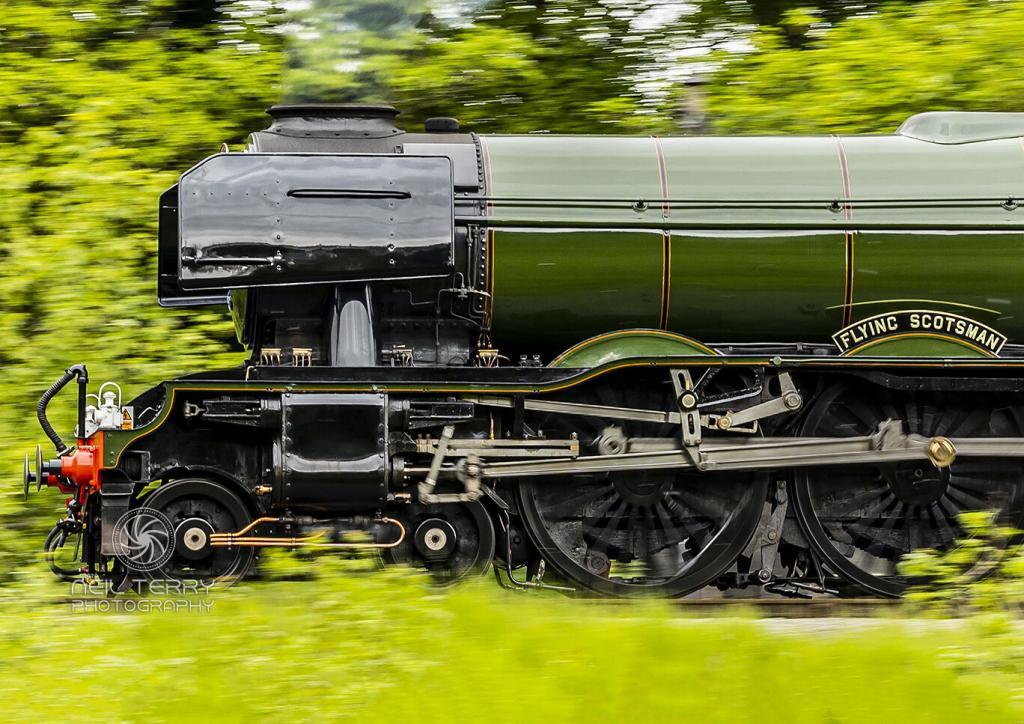Front half of Flying Scotsman at speed with trees and bushes indicating speed