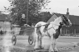 horseandcart_spinarts_Bradford_Ilfordxp2film_001