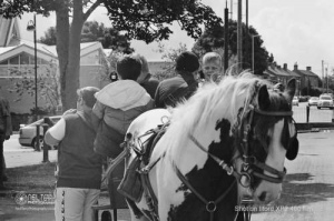 horseandcart_spinarts_Bradford_Ilfordxp2film_006