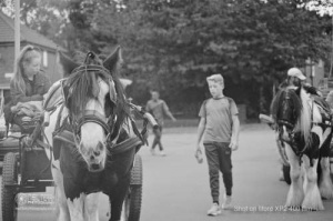 horseandcart_spinarts_Bradford_Ilfordxp2film_016
