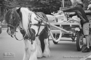 horseandcart_spinarts_Bradford_Ilfordxp2film_017