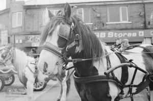 horseandcart_spinarts_Bradford_Ilfordxp2film_021