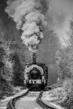 Middleton_RailwayLeeds_021
