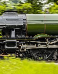Front half of Flying Scotsman at speed with trees and bushes indicating speed